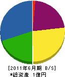 太田電設 貸借対照表 2011年6月期