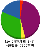 志田工務店 貸借対照表 2012年5月期