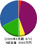 藤田木材 貸借対照表 2009年8月期