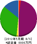和田商会 貸借対照表 2012年5月期