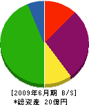 小山田工業所 貸借対照表 2009年6月期