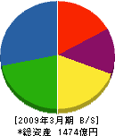 日東紡績 貸借対照表 2009年3月期