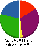 宮崎基礎建設 貸借対照表 2012年7月期