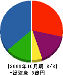 金源 貸借対照表 2008年10月期