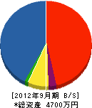 櫻井工業 貸借対照表 2012年9月期