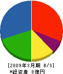 平井組 貸借対照表 2009年3月期