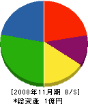 國光工務店 貸借対照表 2008年11月期