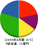 太田産業 貸借対照表 2009年4月期