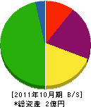 小寺造園石材 貸借対照表 2011年10月期