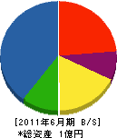 田原建築 貸借対照表 2011年6月期