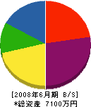 亀井鐵工 貸借対照表 2008年6月期