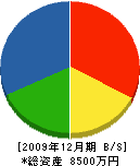 寺阪建築工房 貸借対照表 2009年12月期