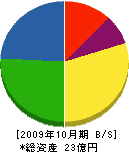 東京戸張 貸借対照表 2009年10月期