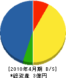 宇佐美松鶴堂 貸借対照表 2010年4月期