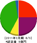 琉球造船鉄工 貸借対照表 2011年3月期