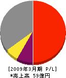 日本特殊炉材 損益計算書 2009年3月期