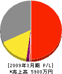 ノース・ジャパン 損益計算書 2009年3月期