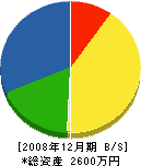 田村工業 貸借対照表 2008年12月期