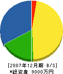 阪口組 貸借対照表 2007年12月期