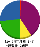 金澤産業 貸借対照表 2010年7月期
