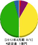 オヤマ電気工事 貸借対照表 2012年4月期