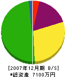 片山建設 貸借対照表 2007年12月期
