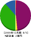 関西商会 貸借対照表 2009年12月期