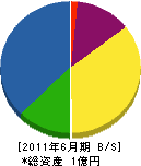 中野電気工業 貸借対照表 2011年6月期