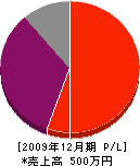 宮崎塗装店 損益計算書 2009年12月期