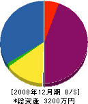 藤野組 貸借対照表 2008年12月期