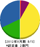 湘山開発 貸借対照表 2012年8月期