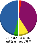 岩本工務店 貸借対照表 2011年10月期