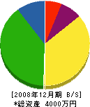 小松塗装店 貸借対照表 2008年12月期