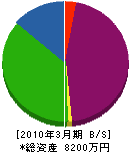 金沢環境整備 貸借対照表 2010年3月期