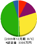 樋口工務店 貸借対照表 2009年12月期