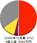 エヌイーシーパーソナルシステム南九州 損益計算書 2008年12月期