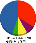 宮崎住宅建設工業 貸借対照表 2012年3月期