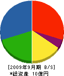 田中工務店 貸借対照表 2009年9月期