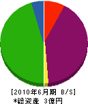 沖川木材 貸借対照表 2010年6月期