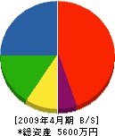 木村畳店 貸借対照表 2009年4月期
