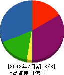 内田電気商会 貸借対照表 2012年7月期