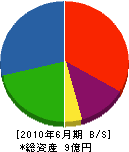 富田工業 貸借対照表 2010年6月期