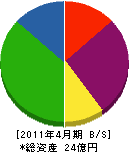 辻創建 貸借対照表 2011年4月期
