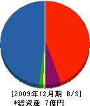 中津工業 貸借対照表 2009年12月期