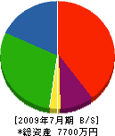 西田建設 貸借対照表 2009年7月期