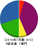 竹本組 貸借対照表 2010年7月期