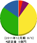 新栄地研 貸借対照表 2011年12月期
