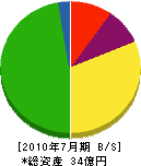 新井商事不動産社 貸借対照表 2010年7月期