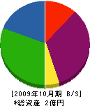 木太建材 貸借対照表 2009年10月期