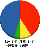菊地エンジニアーズ・リンク 貸借対照表 2013年1月期